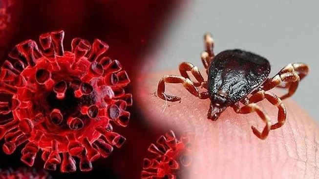 Enfeksiyon hastalıkları uzmanından 'KKKA' uyarısı